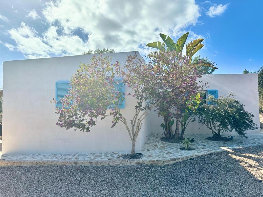 Casa Rustick Villa San Francisco Javier Luaran gambar